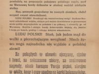 Ludu Polski Do broni / źródło: Polona
